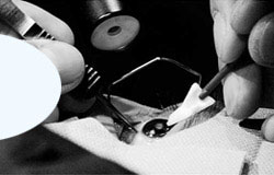 手術(shù)訓(xùn)練