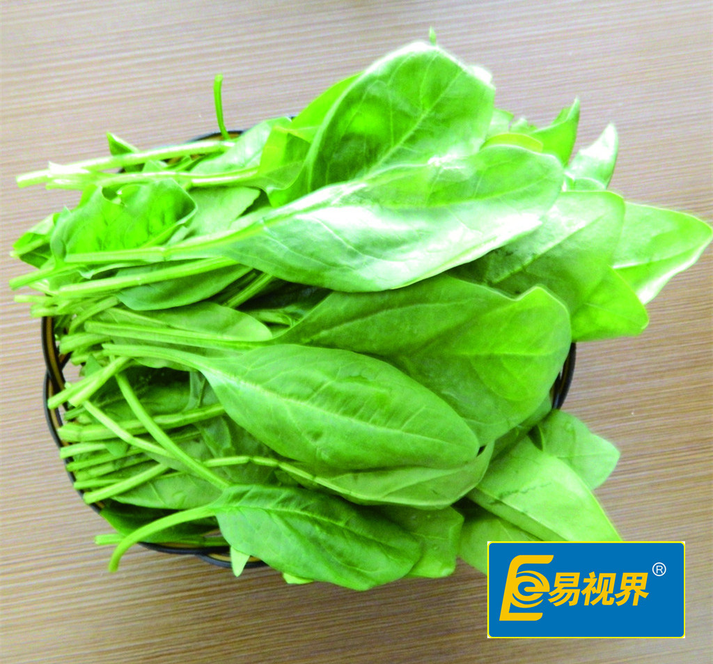 上班族十大神級護眼食物