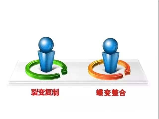 易視界2015戰略發布會