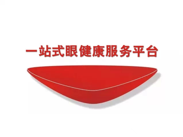 易視界2015戰略發布會