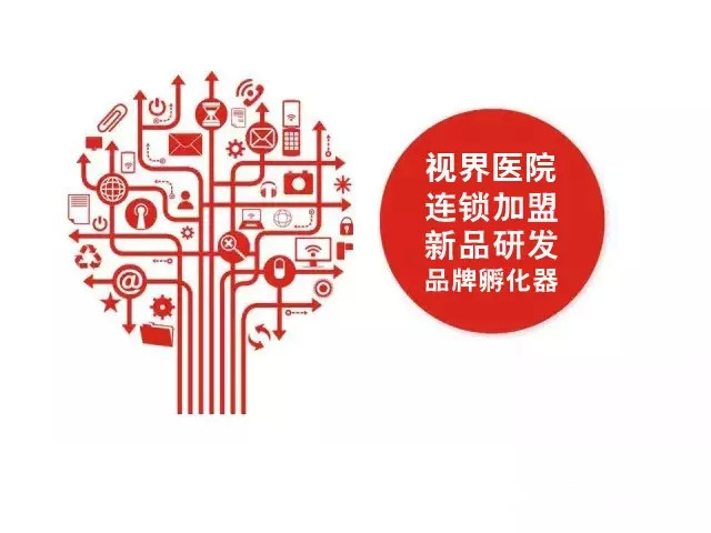 易視界2015戰略發布會