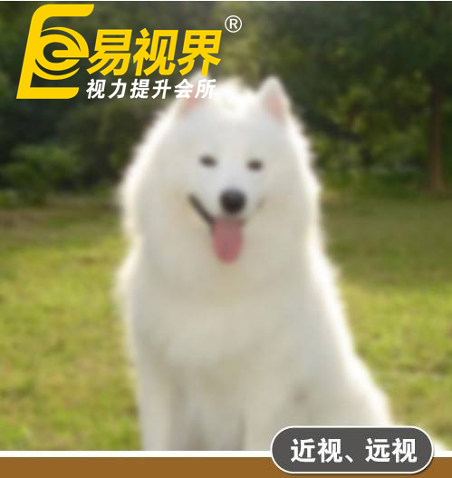 不一樣的眼病,不一樣的世界