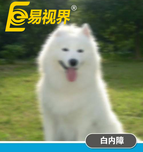 不一樣的眼病,不一樣的世界