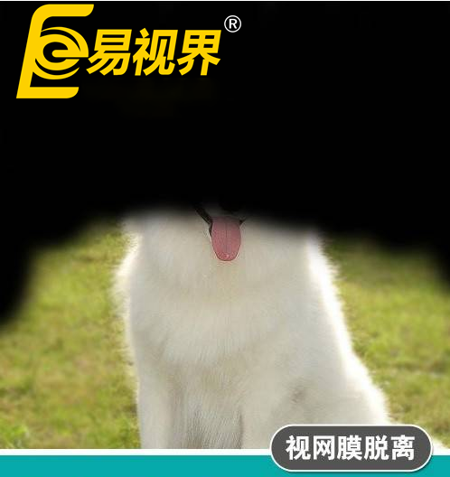 不一樣的眼病，不一
                </div>
                <div   id=