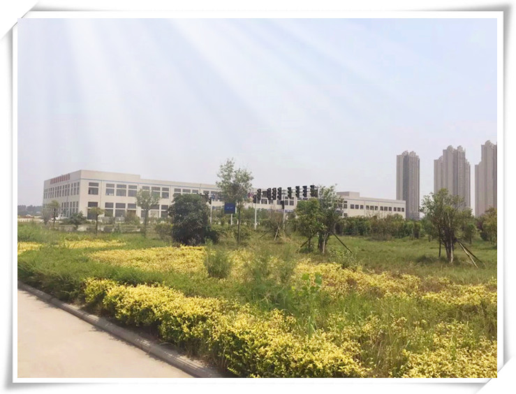 環境優美的易視界生產基地