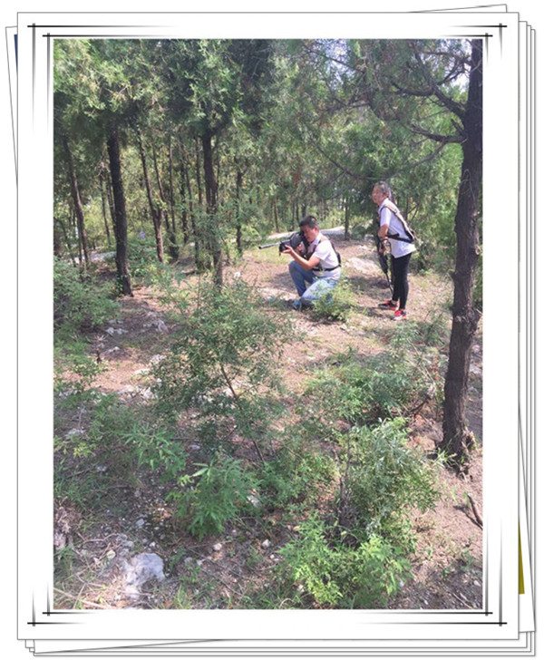 迅速進入狀態的易視界精英