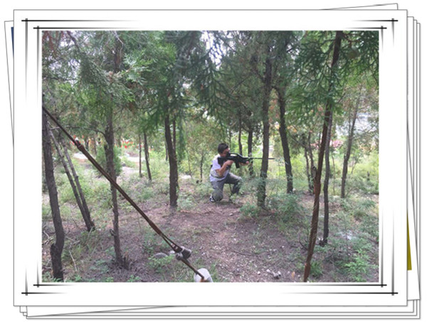 迅速進入狀態的易視界精英