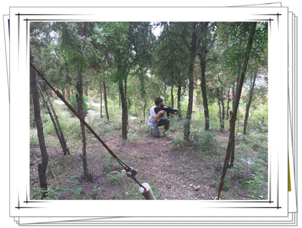 迅速進入狀態的易視界精英