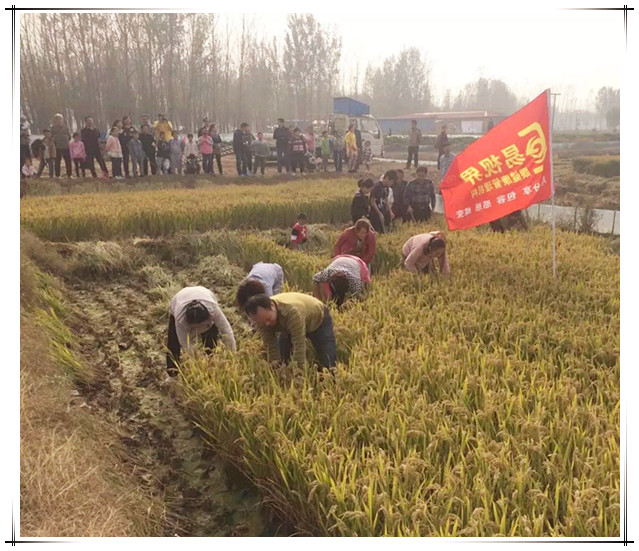 易視界秋季水稻莊園自駕游活動(dòng)圓滿(mǎn)結(jié)束