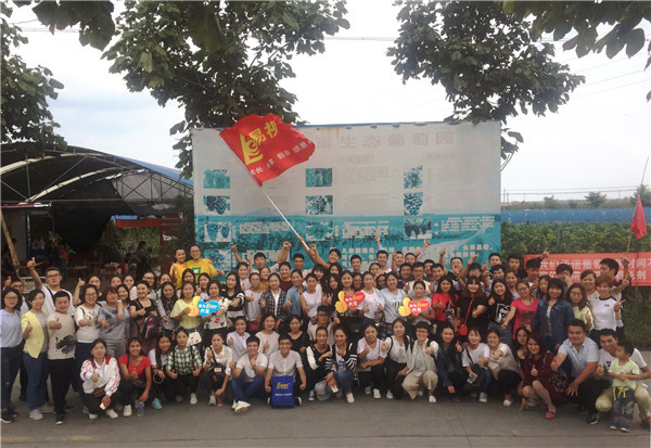 易視界五大戰區葡萄采摘活動圓滿結束