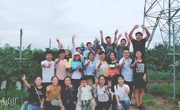 易視界各大戰區摘葡萄活動