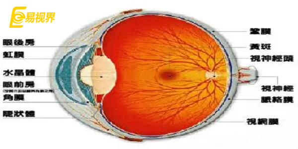 預防視網(wǎng)膜脫落應該注意哪些方面【易視界眼健康管理機構】