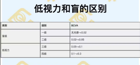 低視力和盲的區別